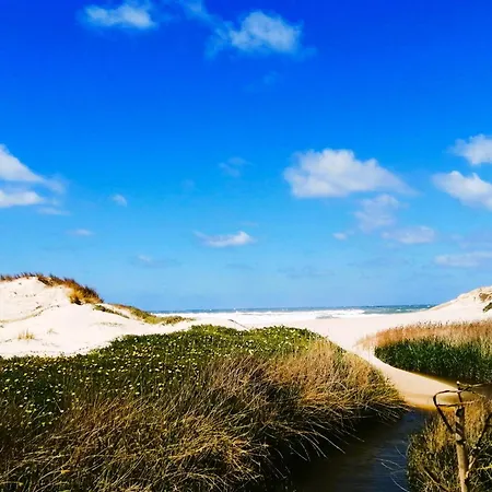 Daire The Sea Breeze Haven In D'el Rey *