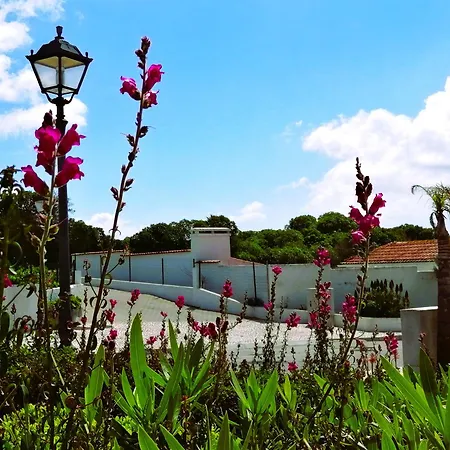 The Sea Breeze Haven In D'el Rey *