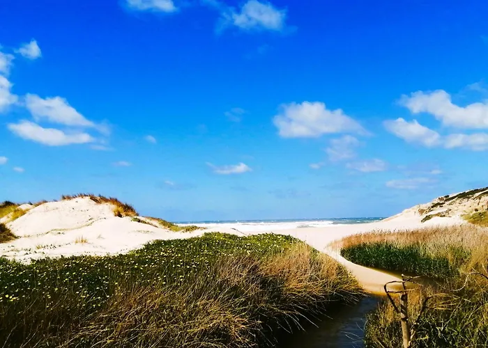 Apartament The Sea Breeze Haven In D'el Rey *